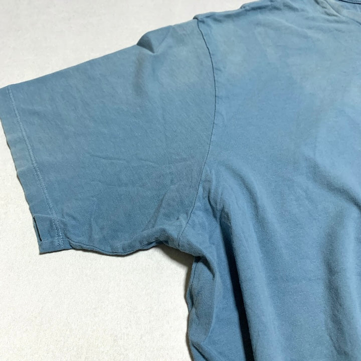 パタゴニア Patagonia Tシャツ ベトナム製 スカイブルー バックプリント メンズL