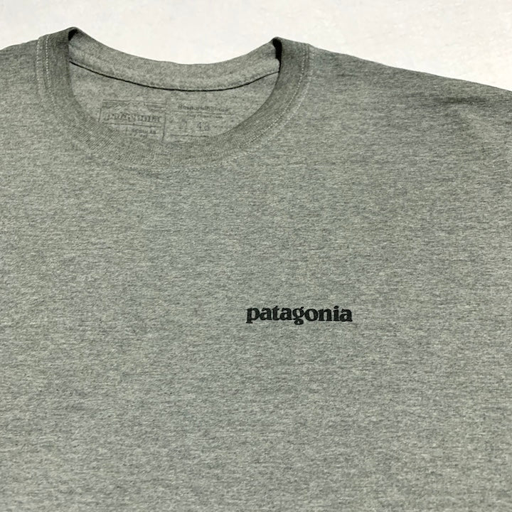 パタゴニア Patagonia ロンT メキシコ製 グレー バックプリント メンズM