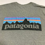 パタゴニア Patagonia ロンT メキシコ製 グレー バックプリント メンズM