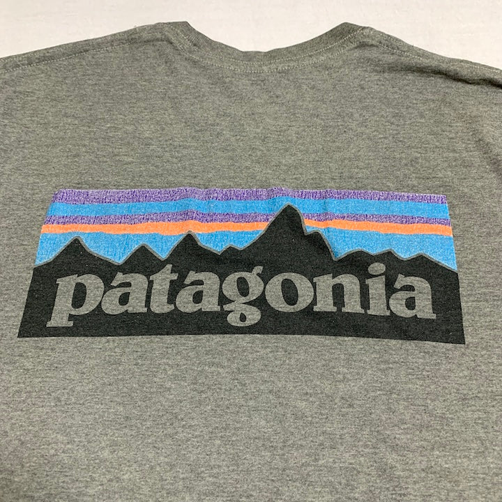 パタゴニア Patagonia ロンT メキシコ製 グレー バックプリント メンズM