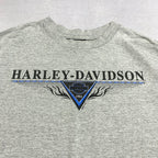 ハーレーダビッドソン Harley-Davidson Tシャツ ユニオンタウン グレー メンズL