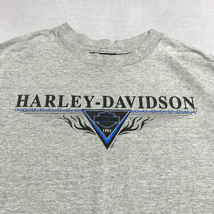 ハーレーダビッドソン Harley-Davidson Tシャツ ユニオンタウン グレー メンズL