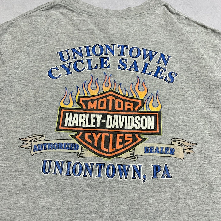 ハーレーダビッドソン Harley-Davidson Tシャツ ユニオンタウン グレー メンズL