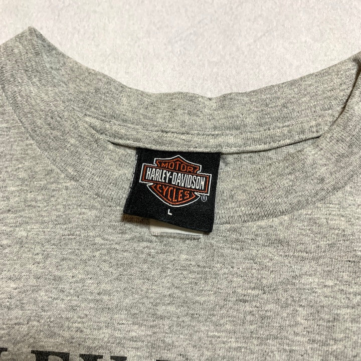 ハーレーダビッドソン Harley-Davidson Tシャツ ユニオンタウン グレー メンズL