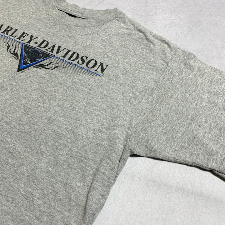 ハーレーダビッドソン Harley-Davidson Tシャツ ユニオンタウン グレー メンズL