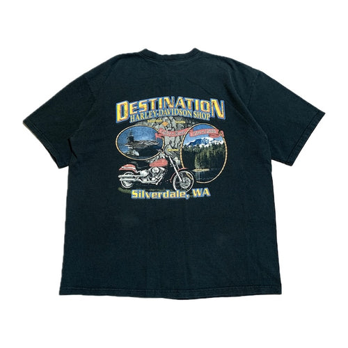ハーレーダビッドソン Harley-Davidson Tシャツ ヘンリーネック シルバーデール メンズL