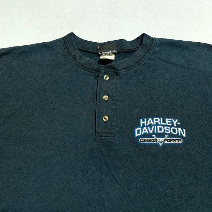 ハーレーダビッドソン Harley-Davidson Tシャツ ヘンリーネック シルバーデール メンズL