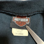 ハーレーダビッドソン Harley-Davidson Tシャツ ヘンリーネック シルバーデール メンズL