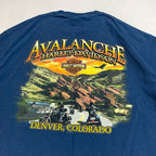 ハーレーダビッドソン Harley-Davidson Tシャツ アバランチ ブルー メンズL