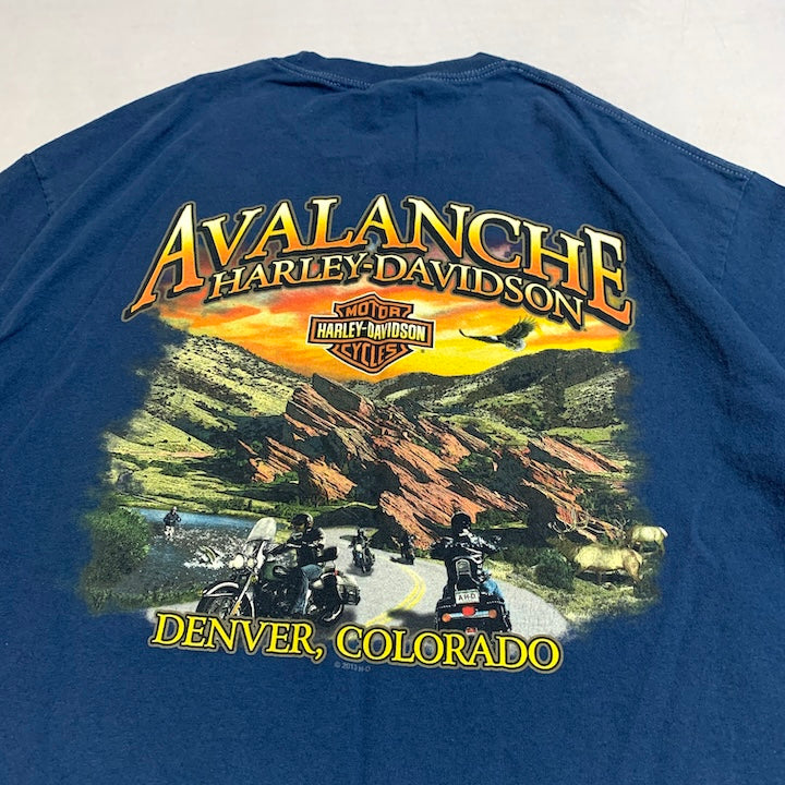 ハーレーダビッドソン Harley-Davidson Tシャツ アバランチ ブルー メンズL