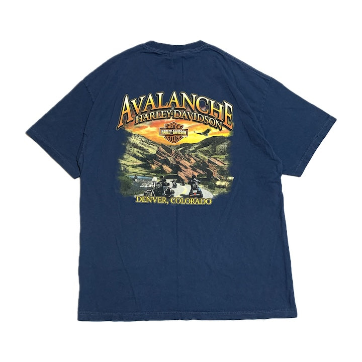 ハーレーダビッドソン Harley-Davidson Tシャツ アバランチ ブルー メンズL