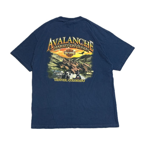 ハーレーダビッドソン Harley-Davidson Tシャツ アバランチ ブルー メンズL
