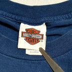 ハーレーダビッドソン Harley-Davidson Tシャツ アバランチ ブルー メンズL