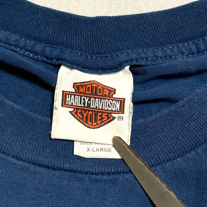 ハーレーダビッドソン Harley-Davidson Tシャツ アバランチ ブルー メンズL