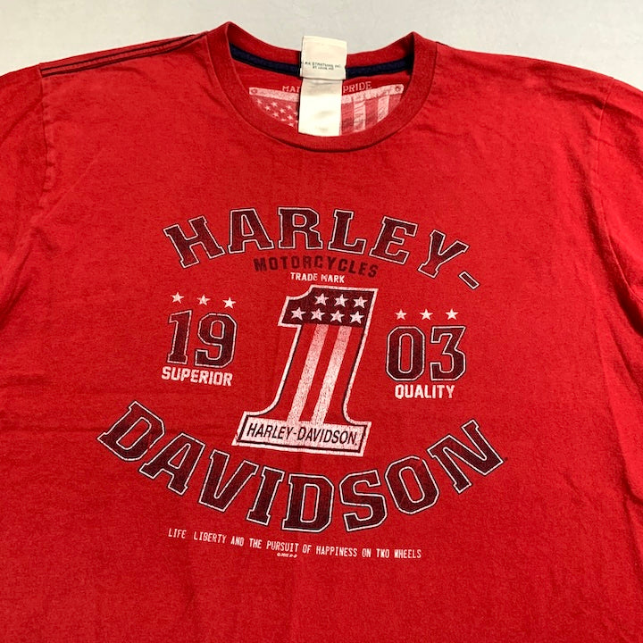 ハーレーダビッドソン Harley-Davidson Tシャツ USA製 ナンバーワン