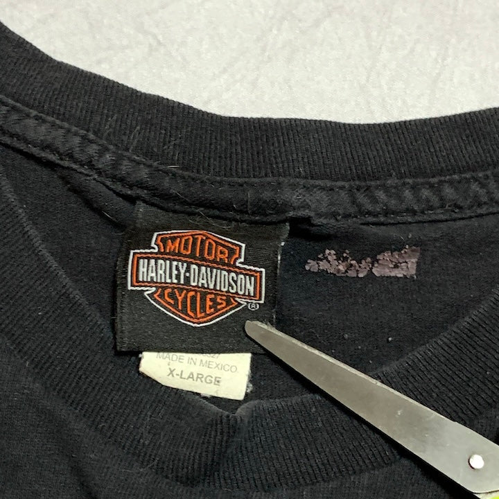 ハーレーダビッドソン Harley-Davidson Tシャツ Morgan & Wacker 100周年 メンズL
