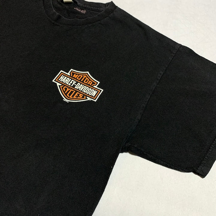 ハーレーダビッドソン Harley-Davidson Tシャツ Morgan & Wacker 100周年 メンズL