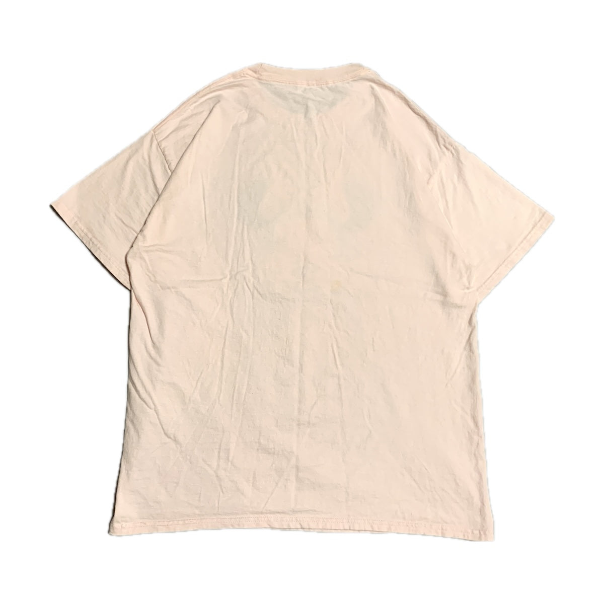 ディズニー Disney Tシャツ ディズニーワールド ミニー ピンク メンズL