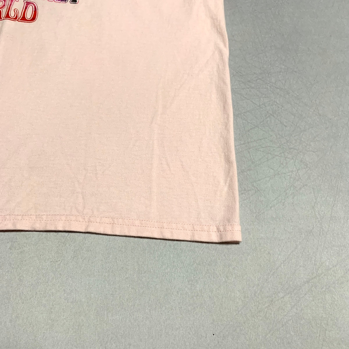 ディズニー Disney Tシャツ ディズニーワールド ミニー ピンク メンズL