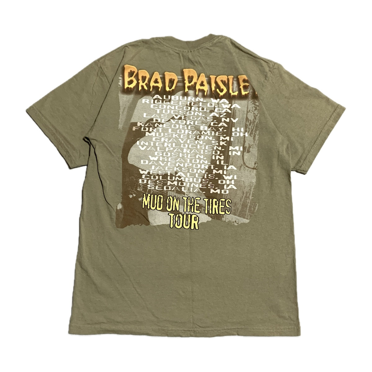 ギルダン GILDAN Tシャツ ブラッド・ペイズリー brad paisley ベージュ メンズM