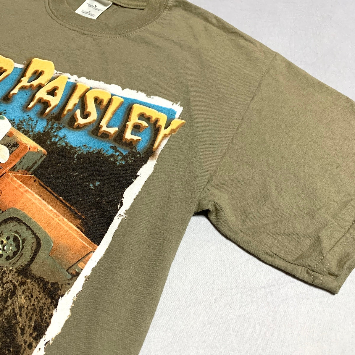 ギルダン GILDAN Tシャツ ブラッド・ペイズリー brad paisley ベージュ メンズM