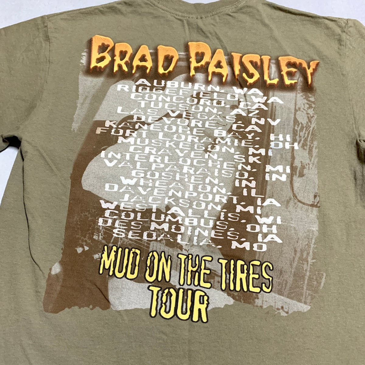 ギルダン GILDAN Tシャツ ブラッド・ペイズリー brad paisley ベージュ メンズM
